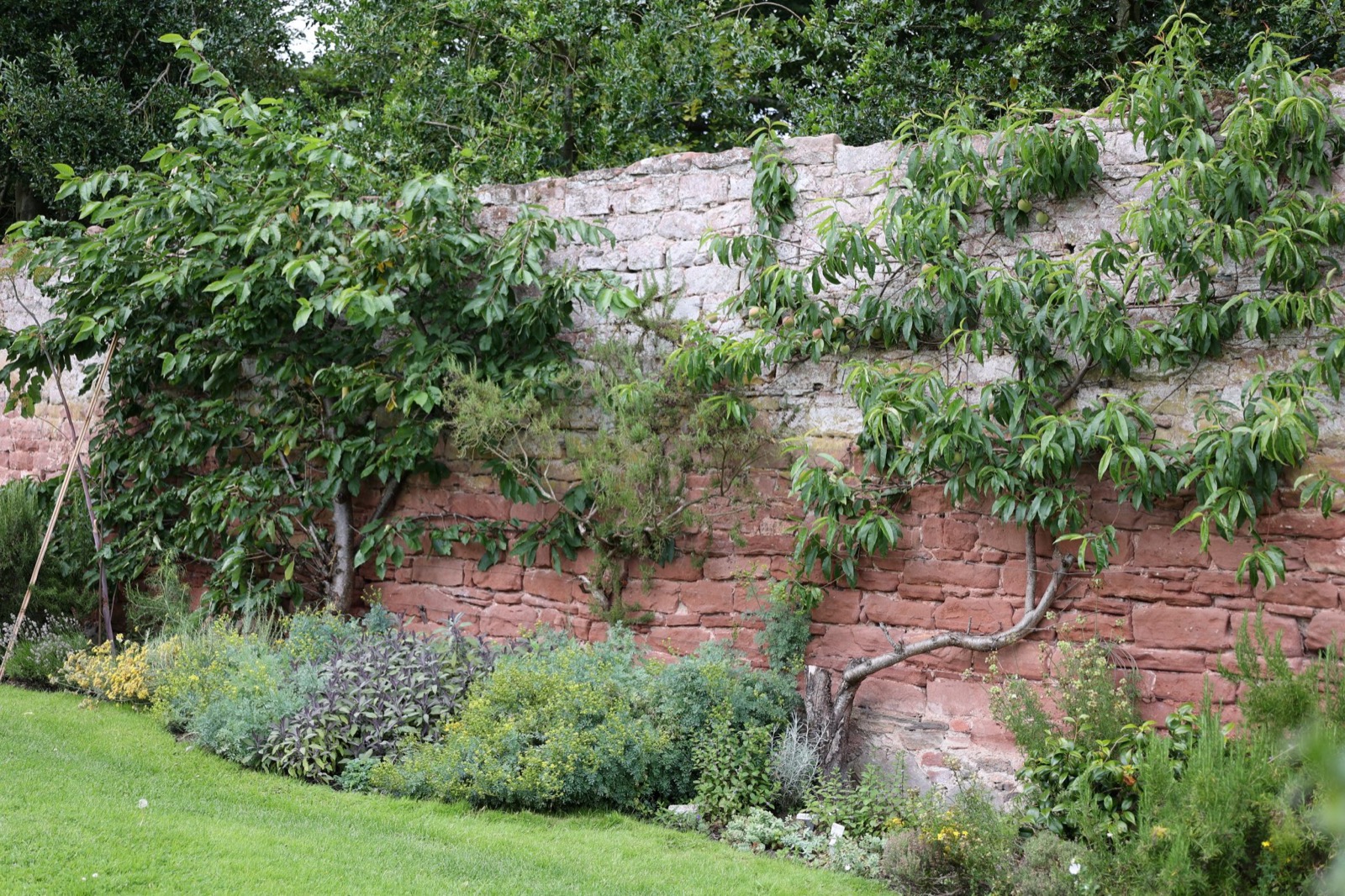 Landscaper example