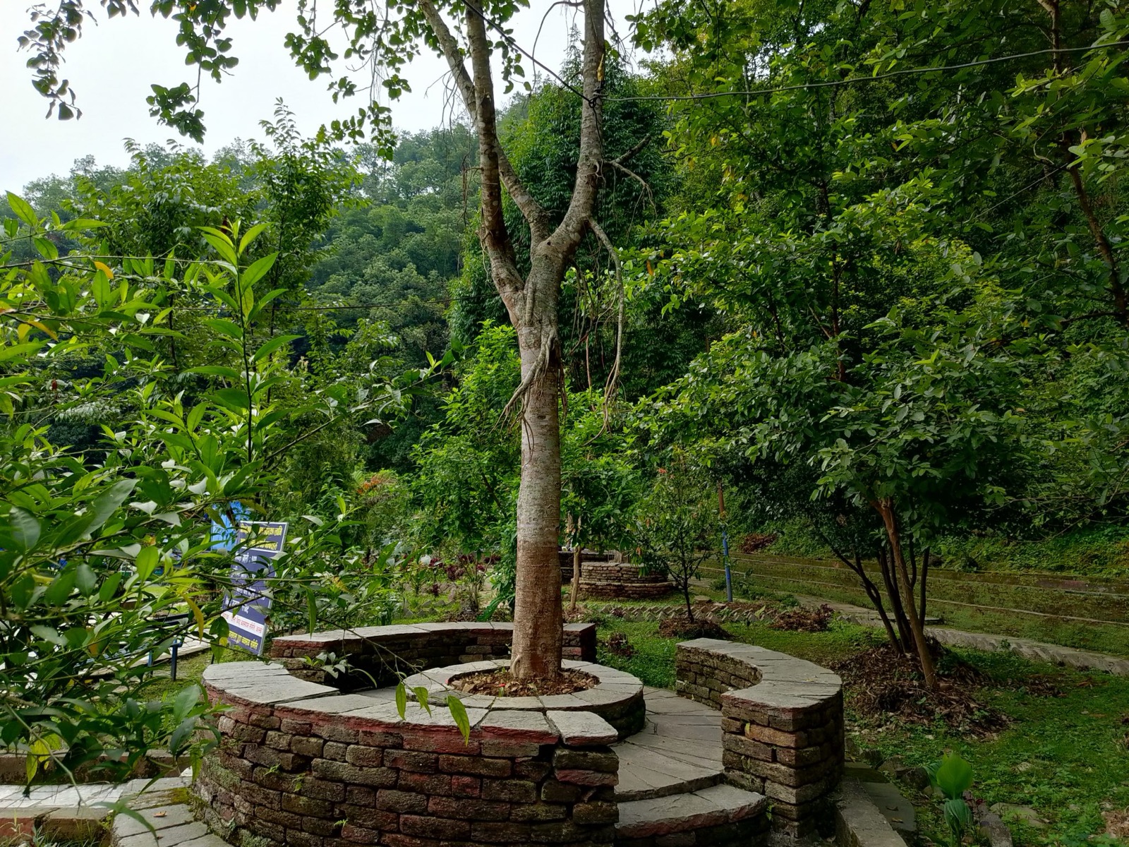 Recent job 3
